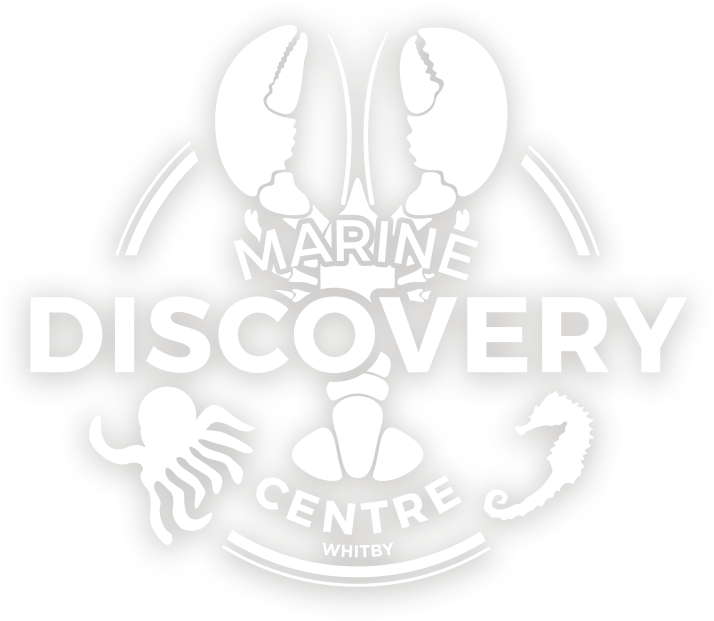 Marine Discovery Centre Logo